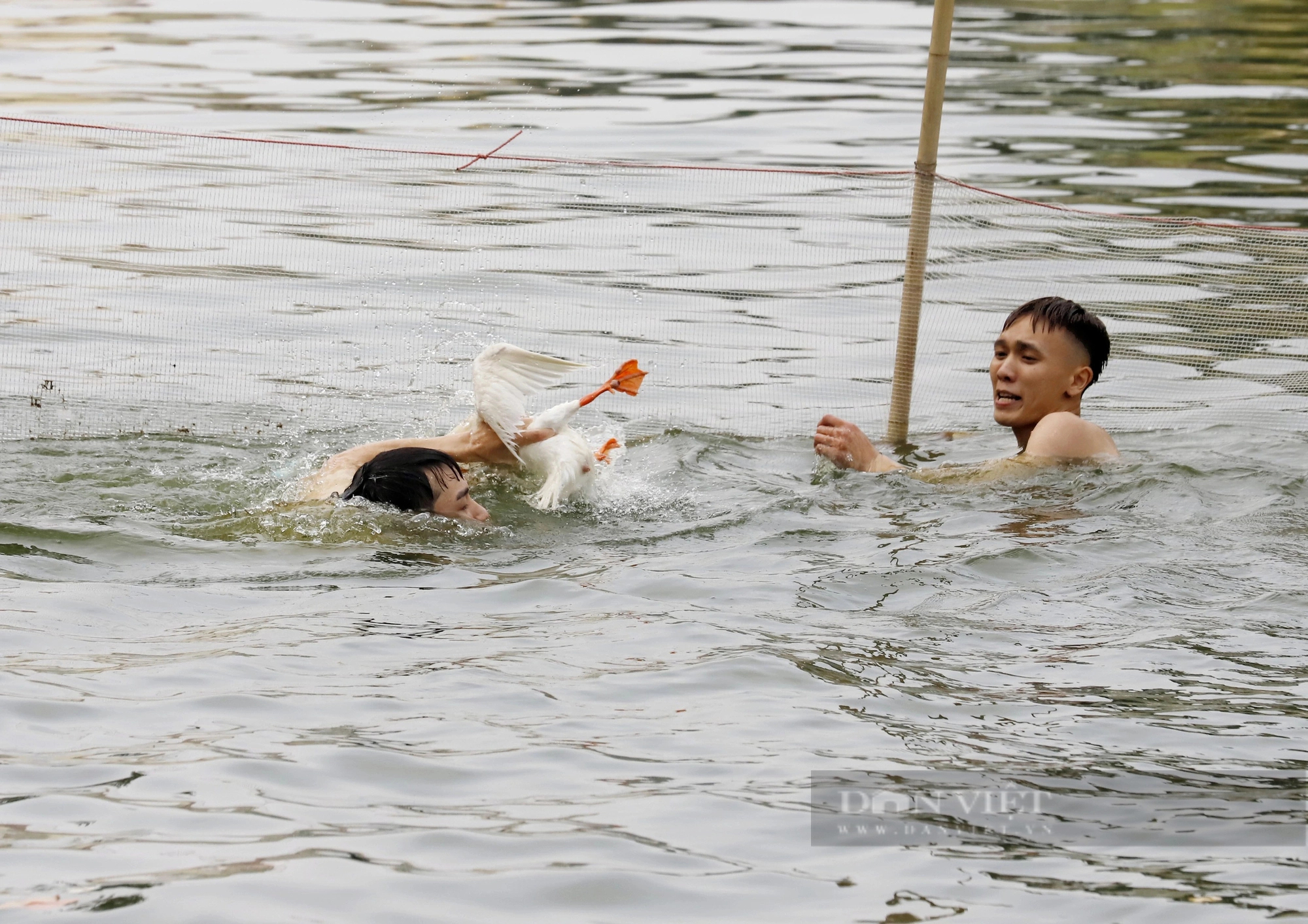 Trai làng đằm mình trong đầm nước vây bắt vịt giật phần thưởng tăng theo cấp số nhân- Ảnh 10.