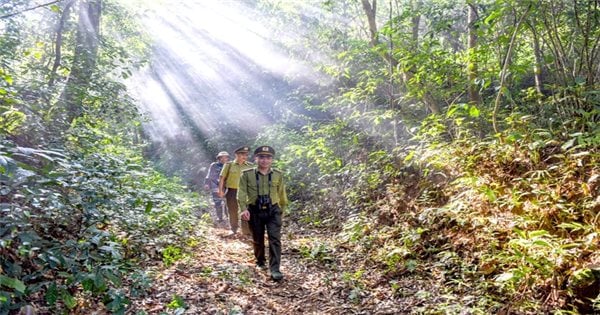 Chi cục Kiểm lâm tỉnh Tuyên Quang với công tác bảo vệ rừng – phòng cháy, chữa cháy rừng