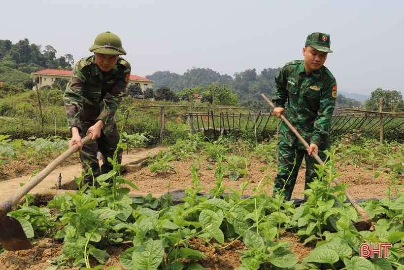 ホアハイ国境警備隊基地の緑豊かな農場で「迷子」