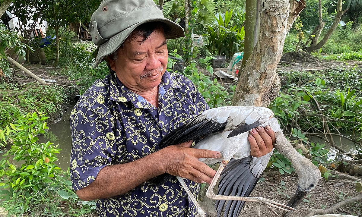 Un viejo granjero del Oeste cuida de miles de aves silvestres desde hace casi 20 años