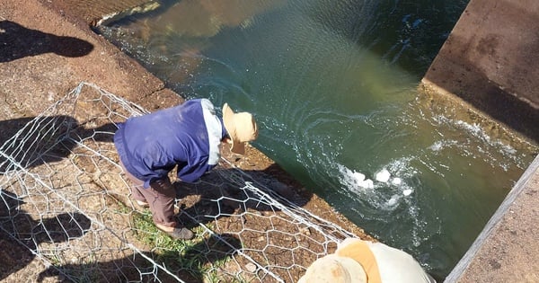 Comment Gia Lai gère-t-il l'incident du barrage d'Ia Ring ?