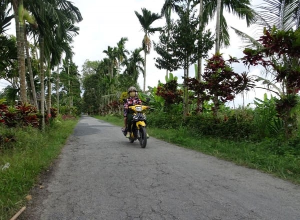 Nationales Zielprogramm 1719 in Kien Giang