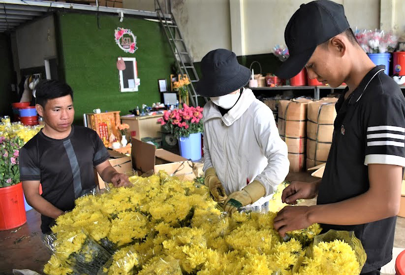 Les bouquets de chrysanthèmes ont augmenté de 1 000 VND/bouquet et les branches de chrysanthèmes ont augmenté de 2 000 VND/douzaine la semaine dernière.