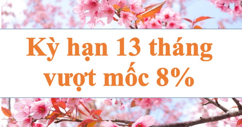 Kỳ hạn 13 tháng vượt mốc 8%