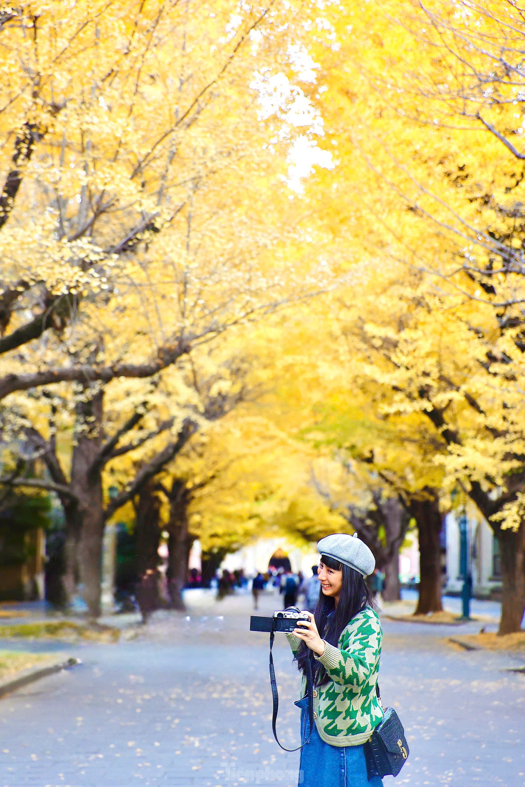 Fasziniert von der Herbstlandschaft mit roten und gelben Blättern in Japan, Foto 26