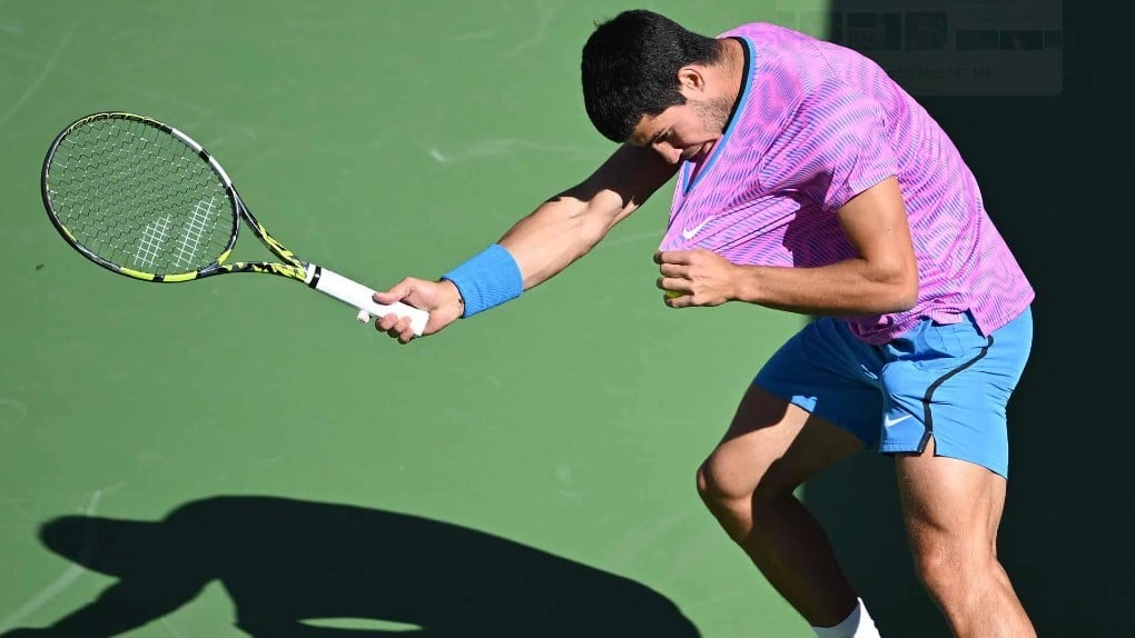 Alcaraz was attacked by bees while playing Zverev