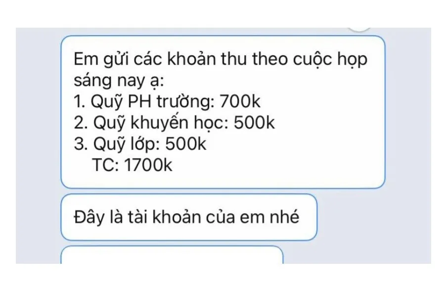 Từ ngày mai, TP.HCM sẽ thanh tra các khoản thu trong trường học ra sao? - Ảnh 1.