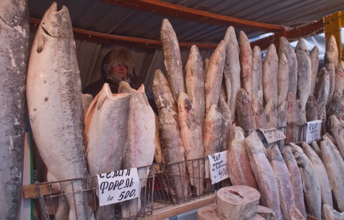 Fish stalls at a farmers market in Oymyakon. Photo: Insider