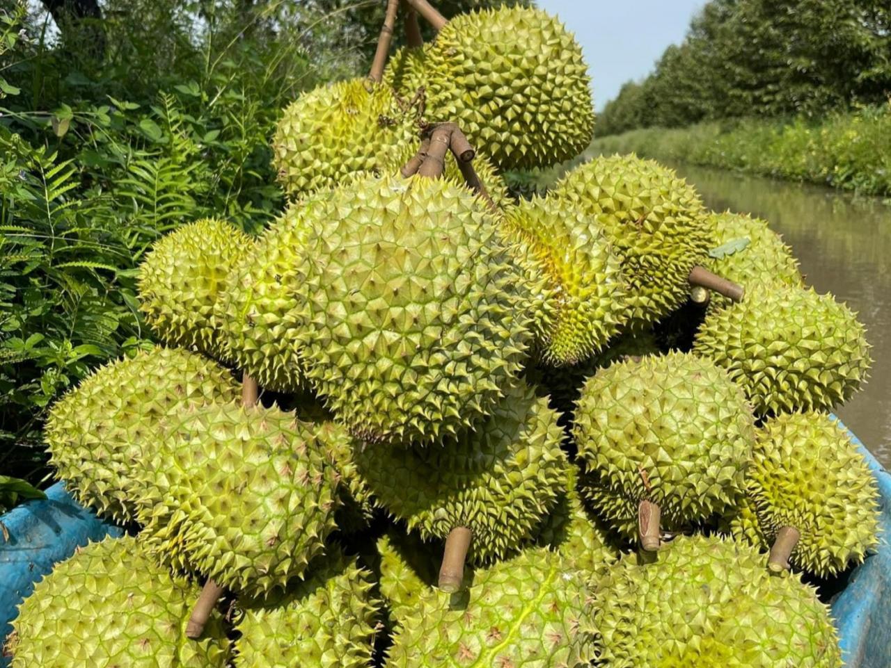 sau-prieng.jpg