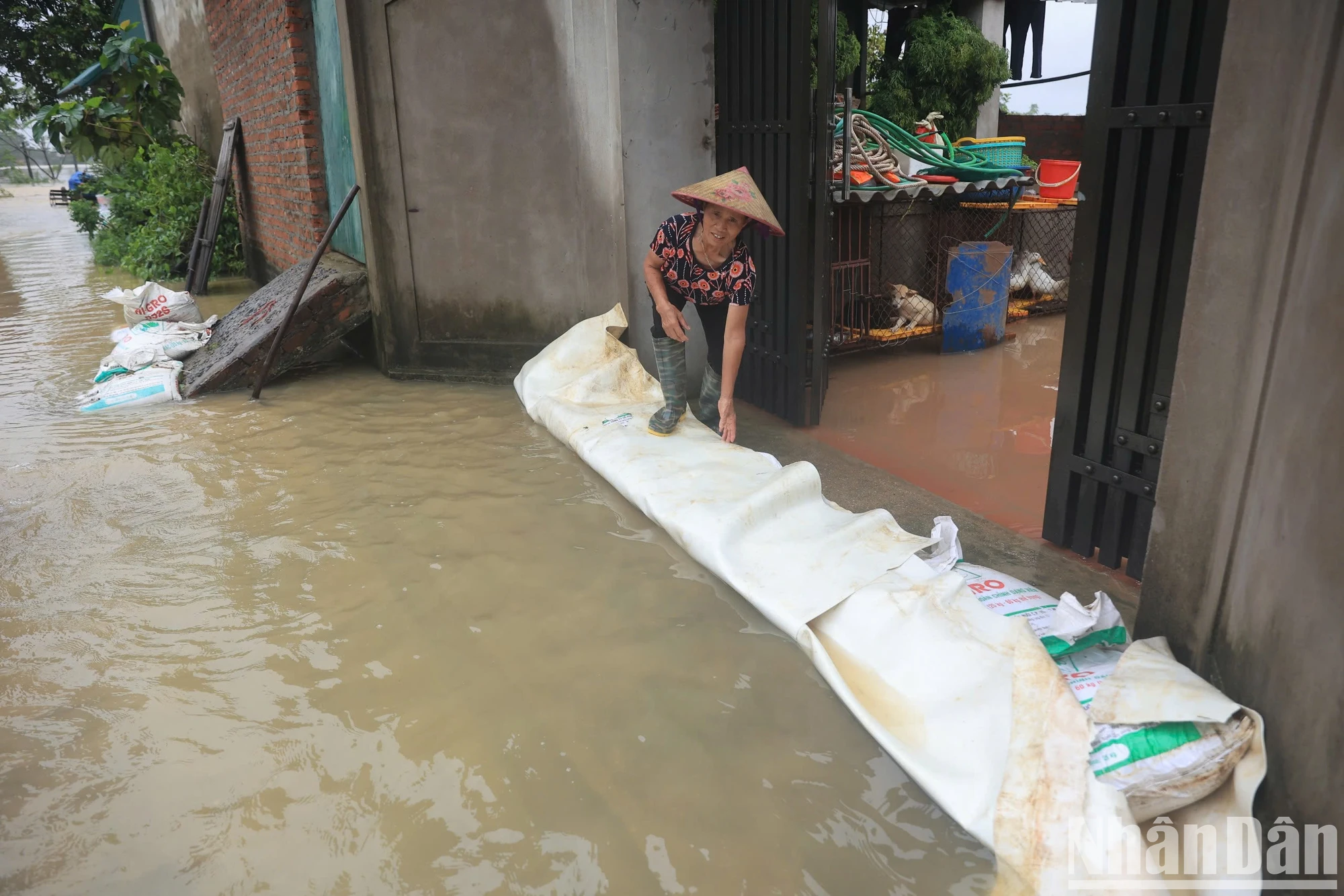 [Foto] Hanoi: El río Bui desborda el dique, muchas comunas en el distrito de Chuong My están inundadas foto 6