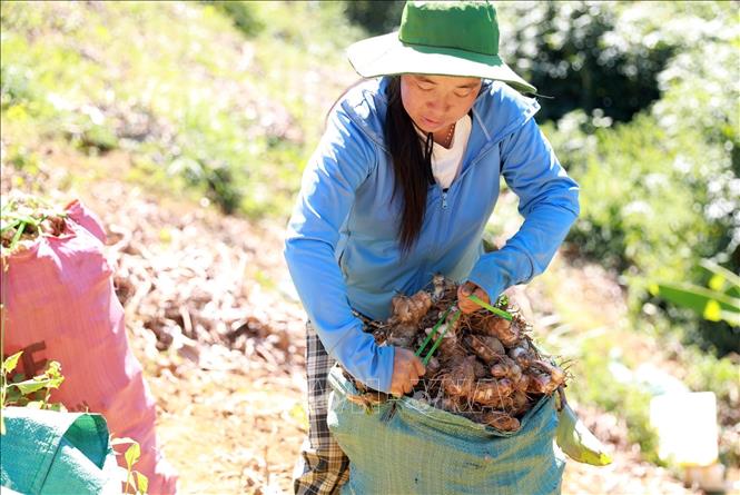 ចំណងជើងរូបថត