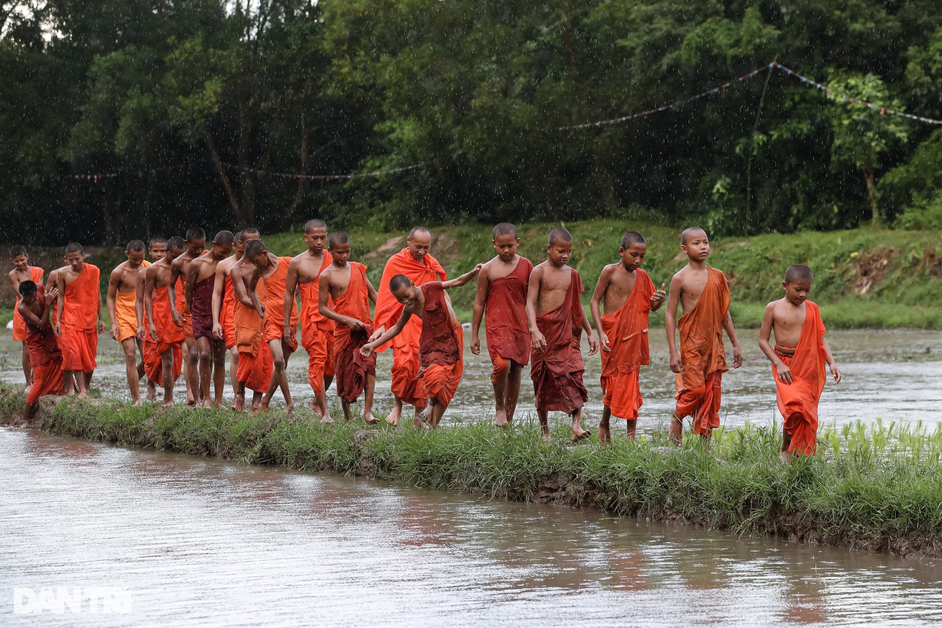 Sư thầy, người dân đội mưa cấy lúa mừng lễ Sene Dolta của đồng bào Khmer - 7