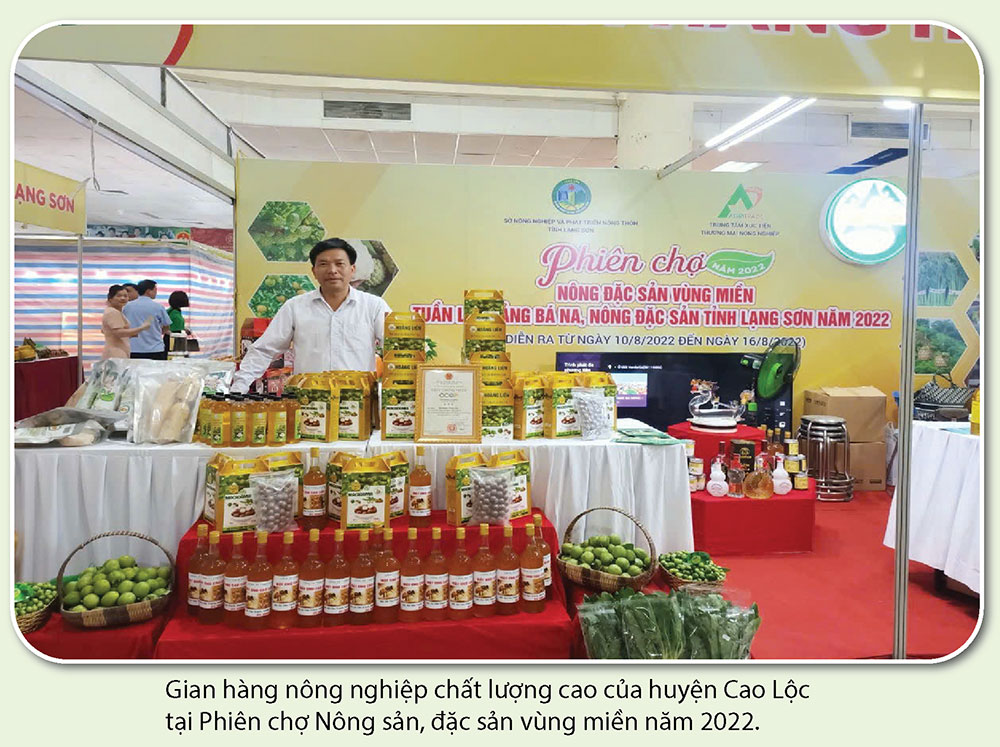 Brokoli Cina yang manis dan renyah dari Tan Lien - Foto 8