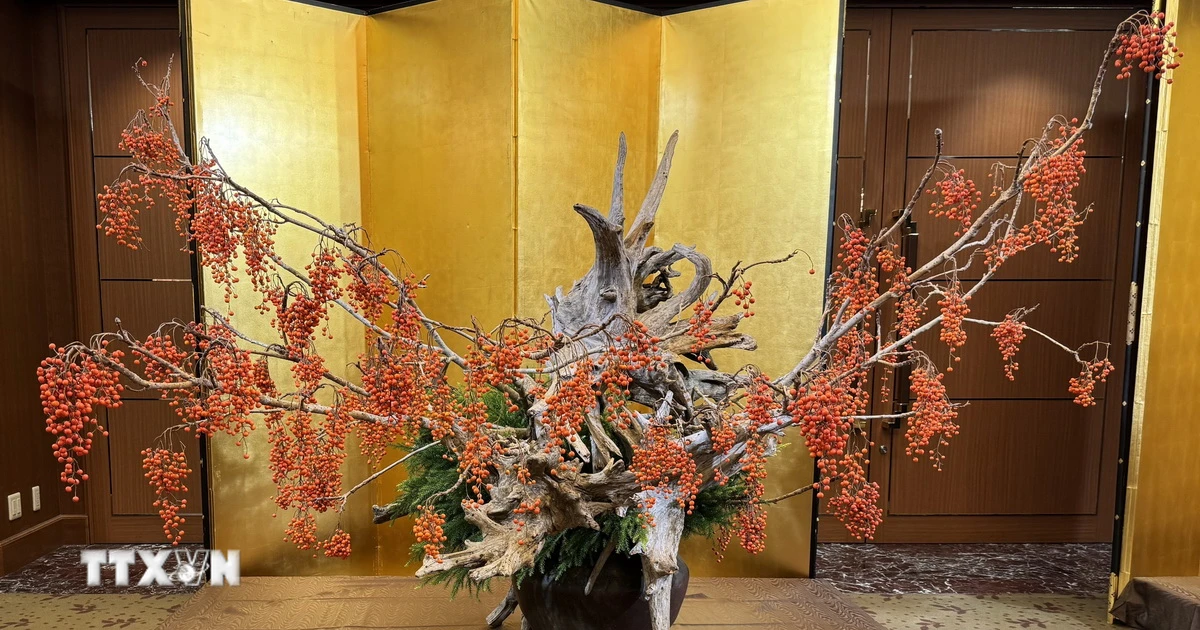 Highlights of the International Traditional Flower Arrangement Exhibition in Tokyo