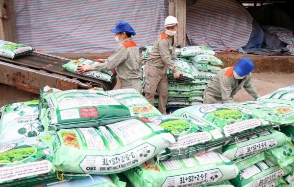 Quyết sách ‘đúng và trúng" tạo đột phá tăng trưởng cho ngành phân bón Việt Nam