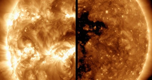 El Sol está "tiembla" con una inversión de los polos magnéticos