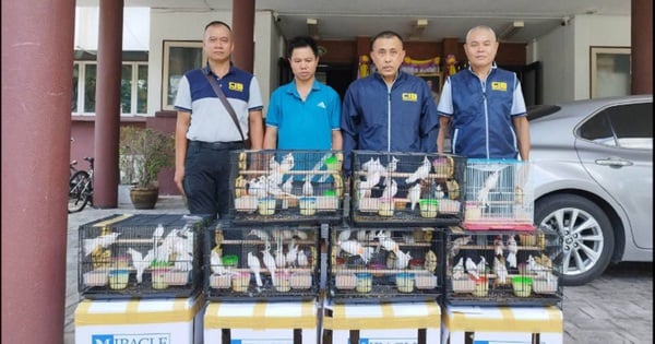 Illegal bird trading, a Vietnamese arrested in Thailand