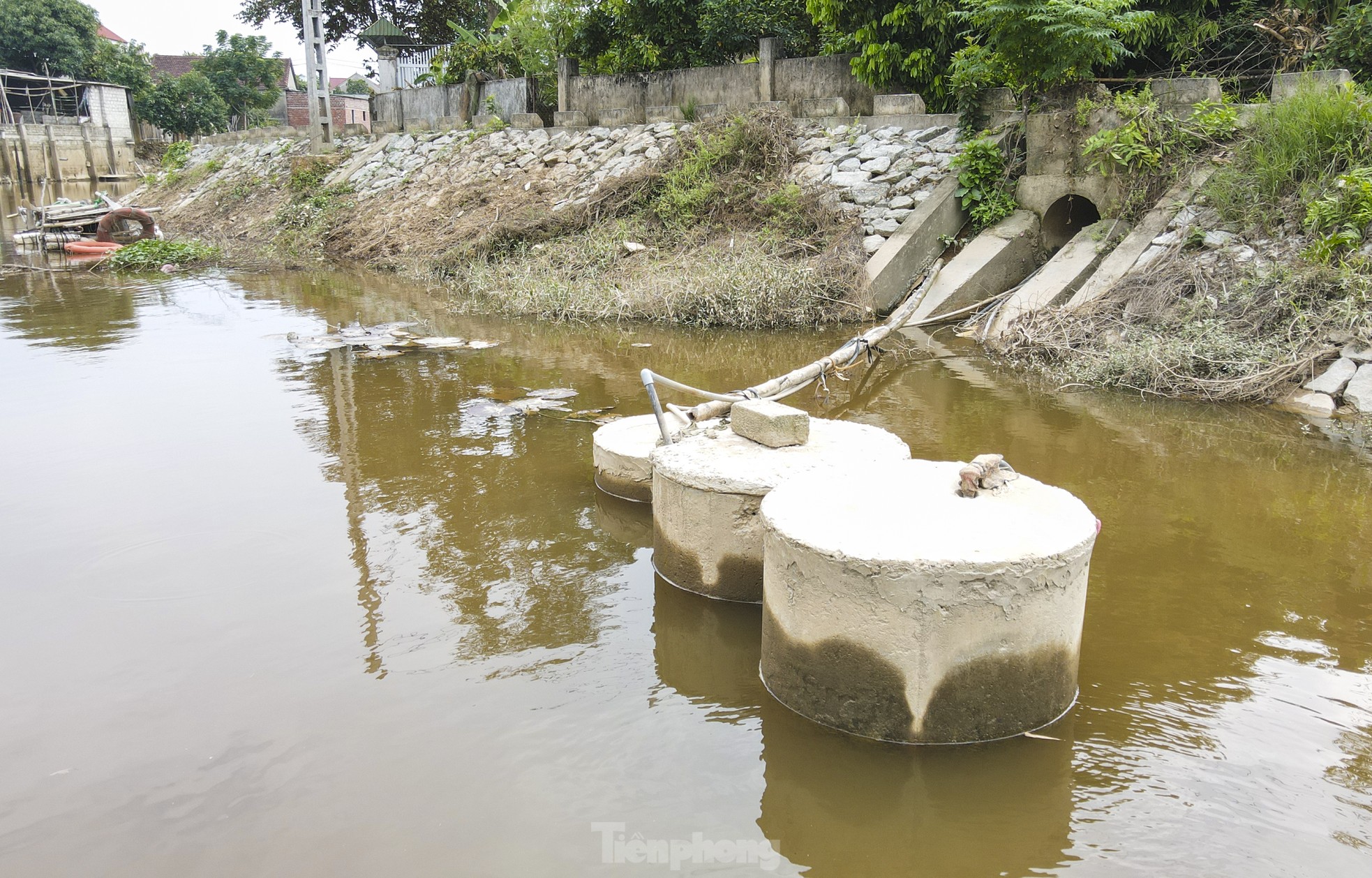 Ha Tinh : Des milliers de ménages utilisent l'eau polluée de la rivière pour leurs activités quotidiennes. Photo 12