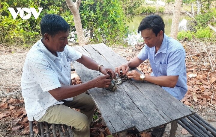 Ca Mau specialty crabs die on a large scale - 3