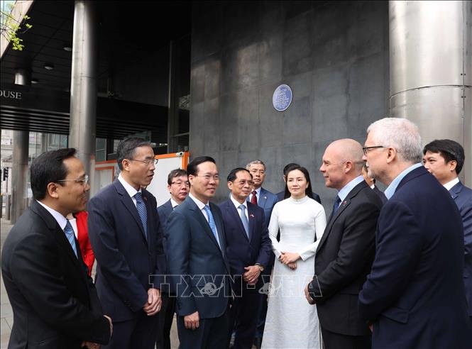 El presidente Vo Van Thuong depositó una ofrenda floral en el monumento conmemorativo del tío Ho en Londres, foto 3