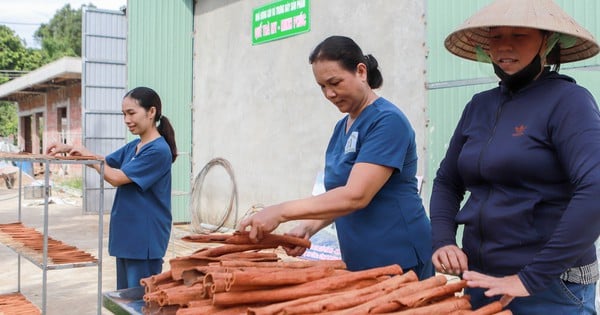 Cần gỡ “nút thắt” về vốn cho hợp tác xã do phụ nữ quản lý