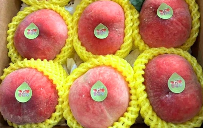 Chinese peaches are imported to Vietnam. Photo: Linh Dan