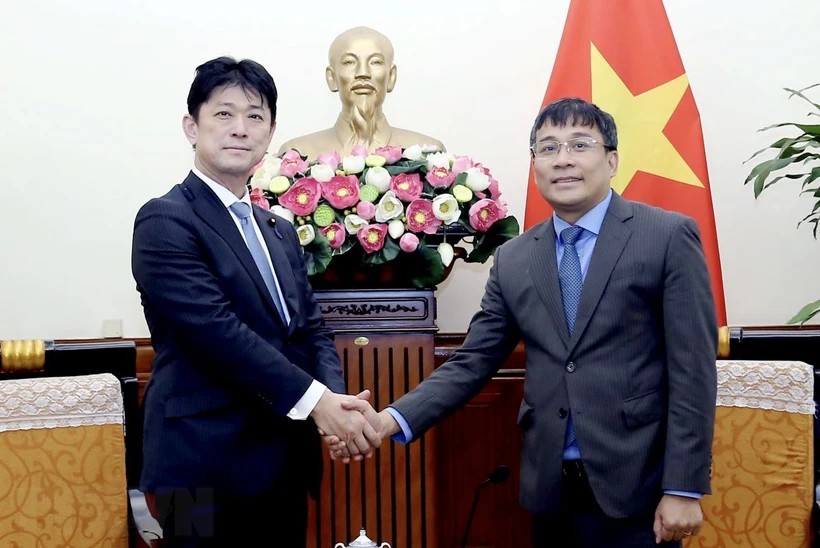 Concretizing the framework of the Vietnam-Japan Comprehensive Strategic Partnership