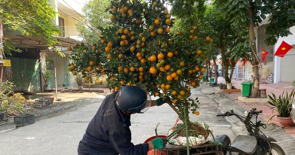 Đơn hàng nườm nượp, xe ôm kiếm tiền triệu ngày cận Tết