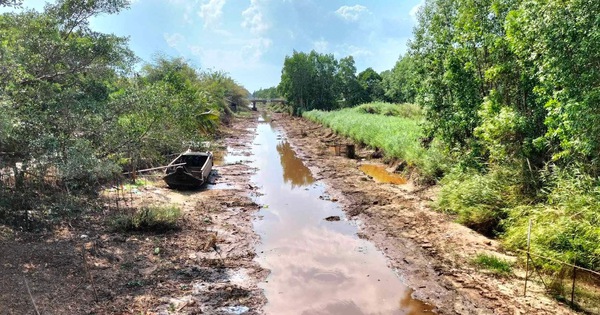 Carefully evaluate the proposal to bring fresh water from Hau River to Ca Mau