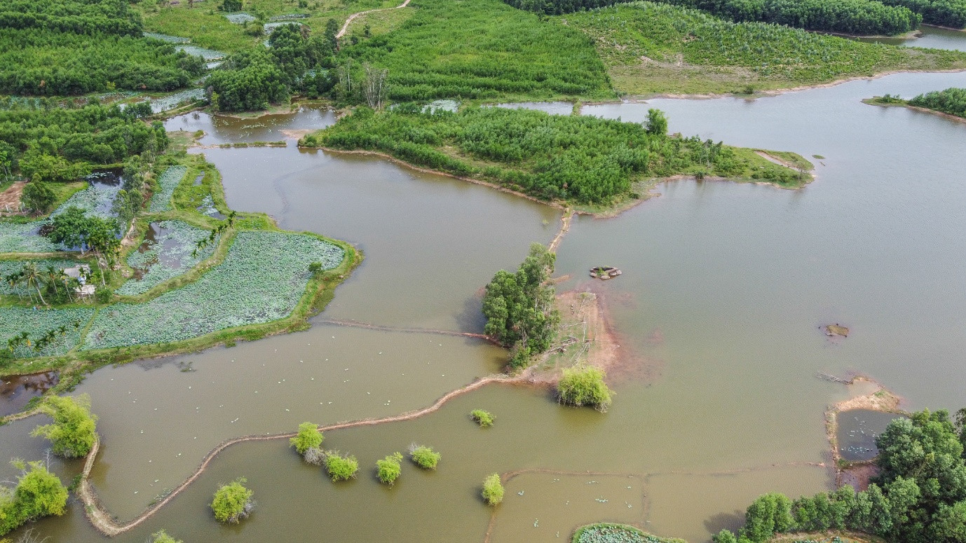 Brilliant lotus season in Tra Ly fields of Quang Nam - 9