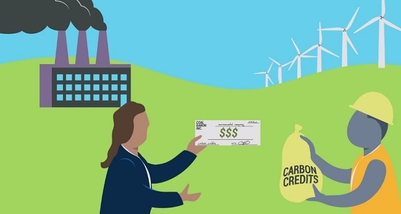 Carbon credits not yet sold abroad, what does the Ministry of Agriculture say?