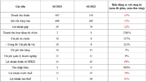 Kết quả kinh doanh Bảo Ngọc 6 tháng đầu năm 2023 so với cùng kì. Ảnh: Phương Anh