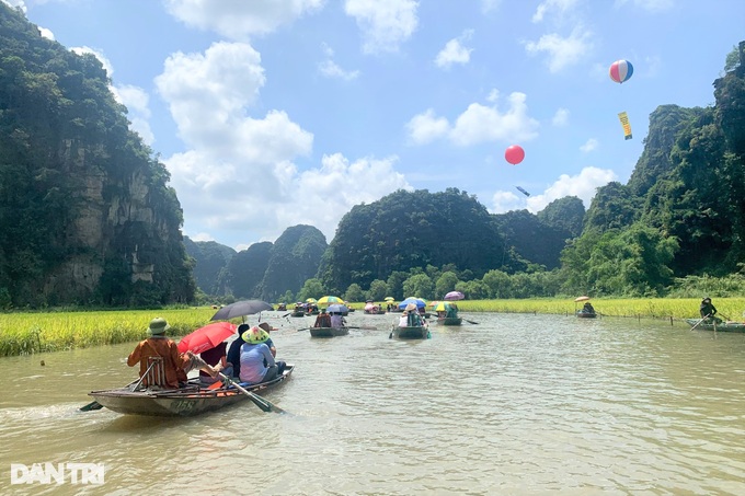 Hơn 600 lái đò ở di sản Tràng An không có hợp đồng lao động hàng chục năm qua - 1