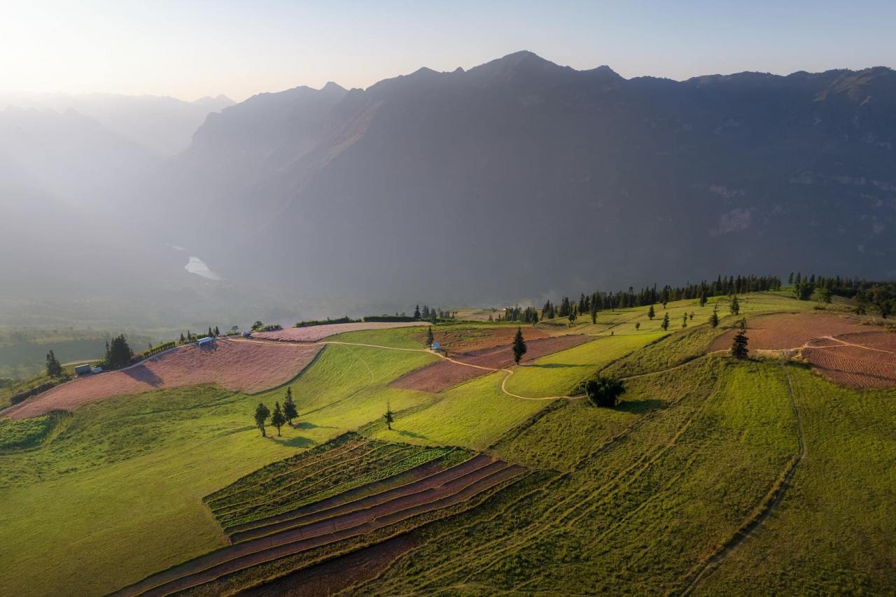 Située à environ 5 km de la ville de Coc Pai, district de Xin Man, à environ 150 km de la ville de Ha Giang et à une altitude de plus de 1 200 m au-dessus du niveau de la mer, la prairie de Suoi Thau possède la beauté sauvage et majestueuse de la terre occidentale de la province de Ha Giang.