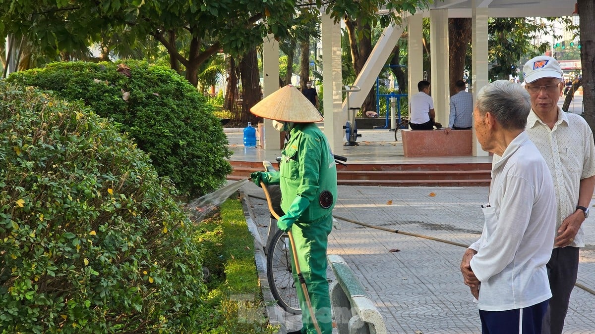 Flower gardens and parks in Ha Dong district 'wear new coats' after investment and renovation photo 16