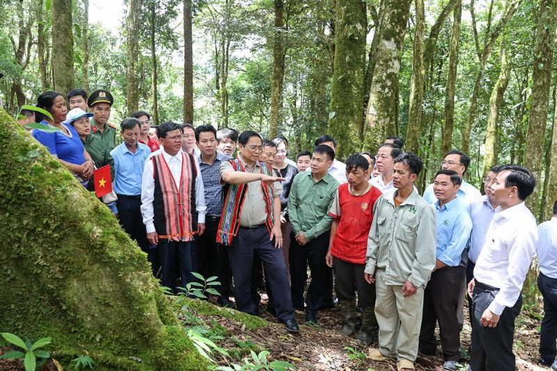 Bài 2: Ngăn chặn sâm Ngọc Linh giả bằng cách nào?