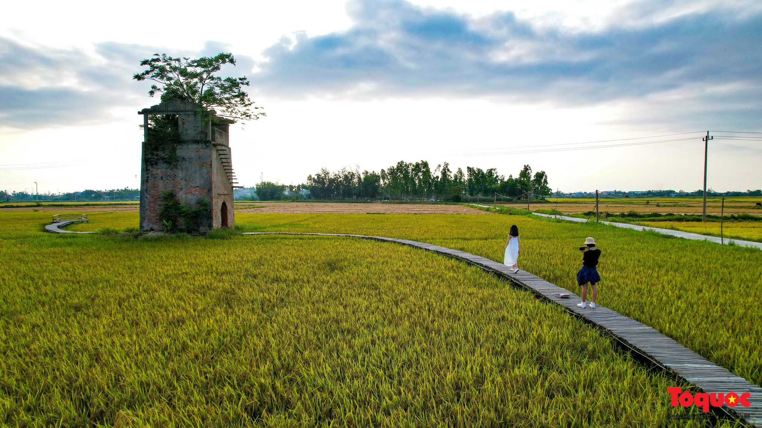 Giới trẻ 