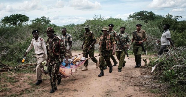 Kenya: Tim thay hon 200 thi the nghi lien quan giao phai tuyet thuc hinh anh 1