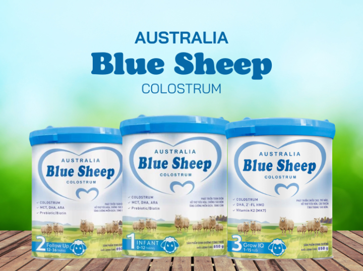 Blue Sheep Colostrum – Bổ sung MCT giúp bé tăng cân hiệu quả - 1