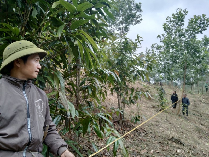 GEF tạo thu nhập bền vững cho người dân miền Tây Nghệ An