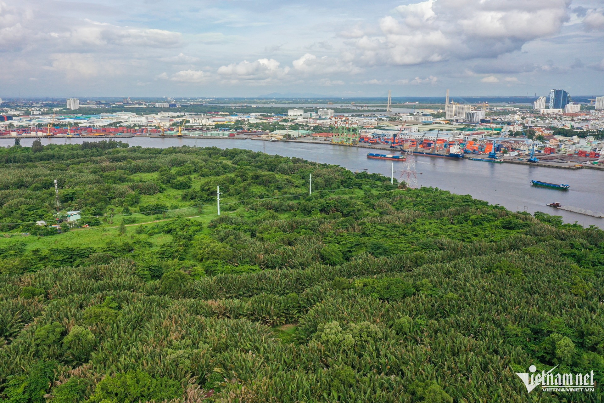 Un marais de 128 ha à Ho Chi Minh-Ville avant de devenir un parc de 6 400 milliards de VND photo 2