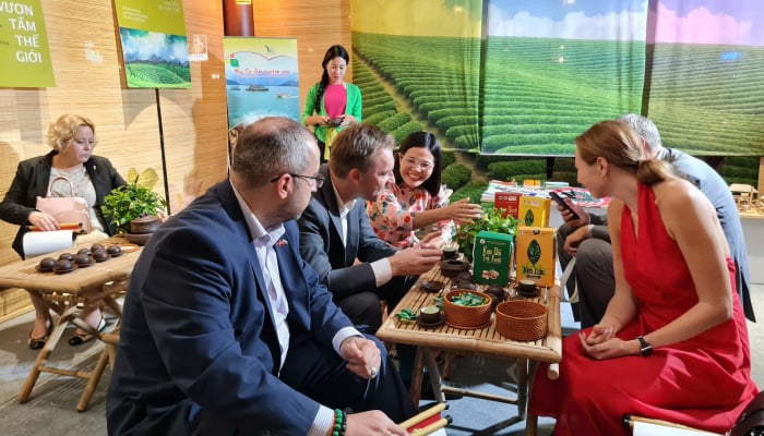 Promoting Thai Nguyen Tea Culture and Tourism at the 2024 Teqball World Championship