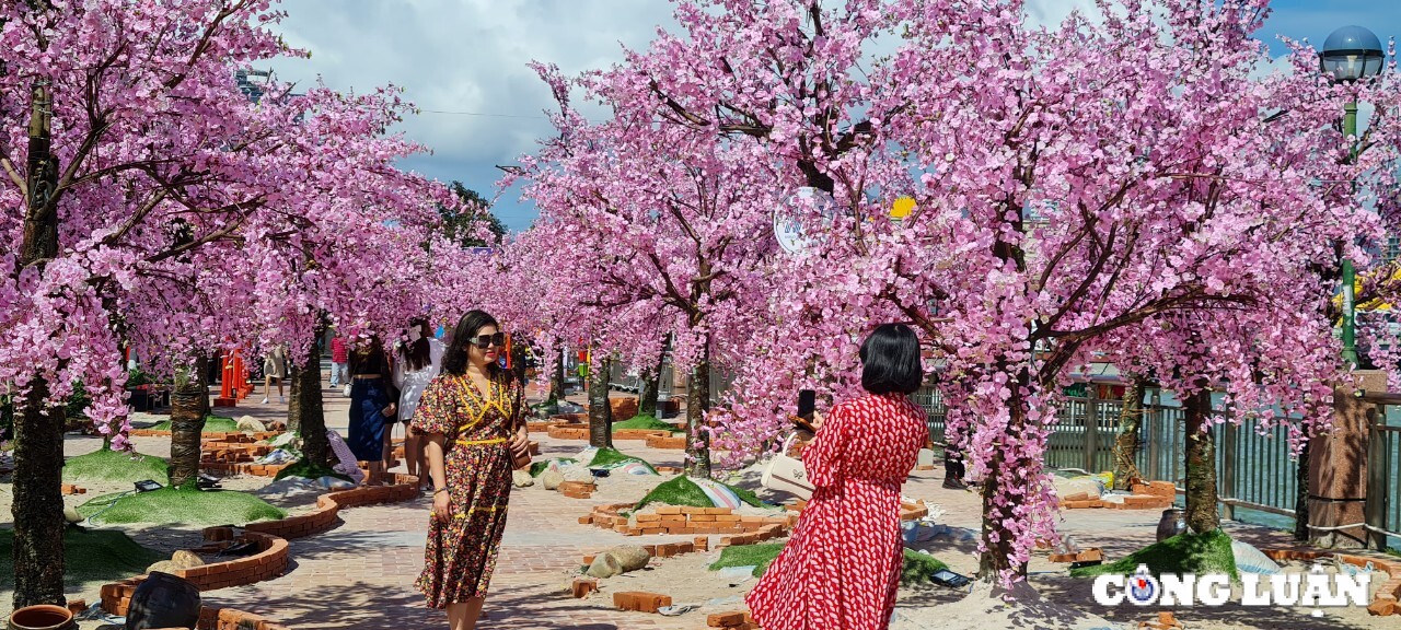 In 2025, Da Nang will organize nearly 80 cultural and festival activities on both sides of the Han River. Image 4