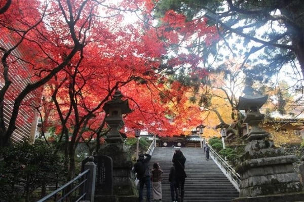 Otoño misterioso en un templo japonés de 600 años de antigüedad