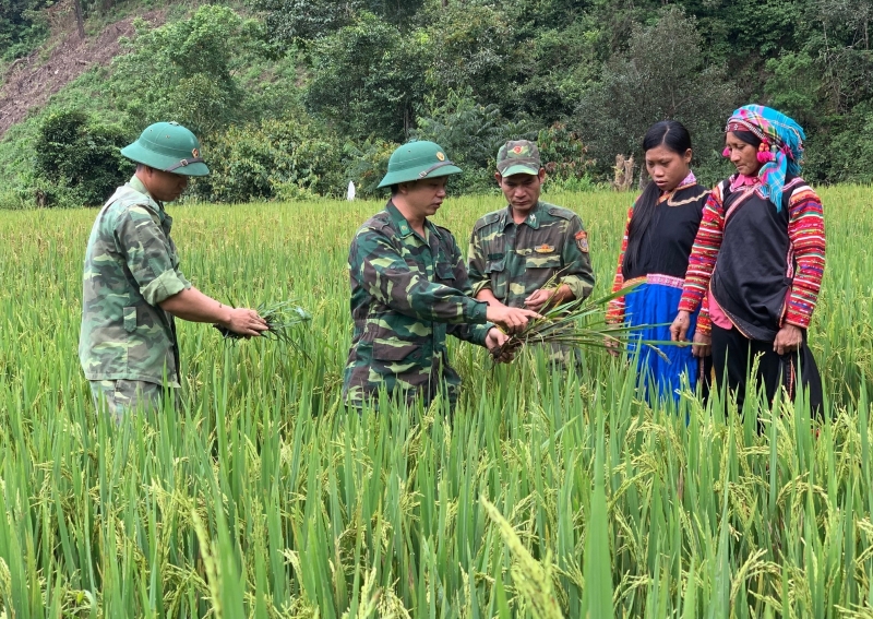 Les officiers et les soldats du poste de garde-frontière de Pa U aident l'ethnie La Hu du village de Ha Si, commune de Pa U, district de Muong Te, province de Lai Chau, à récupérer des terres pour cultiver du riz afin de garantir la nourriture.