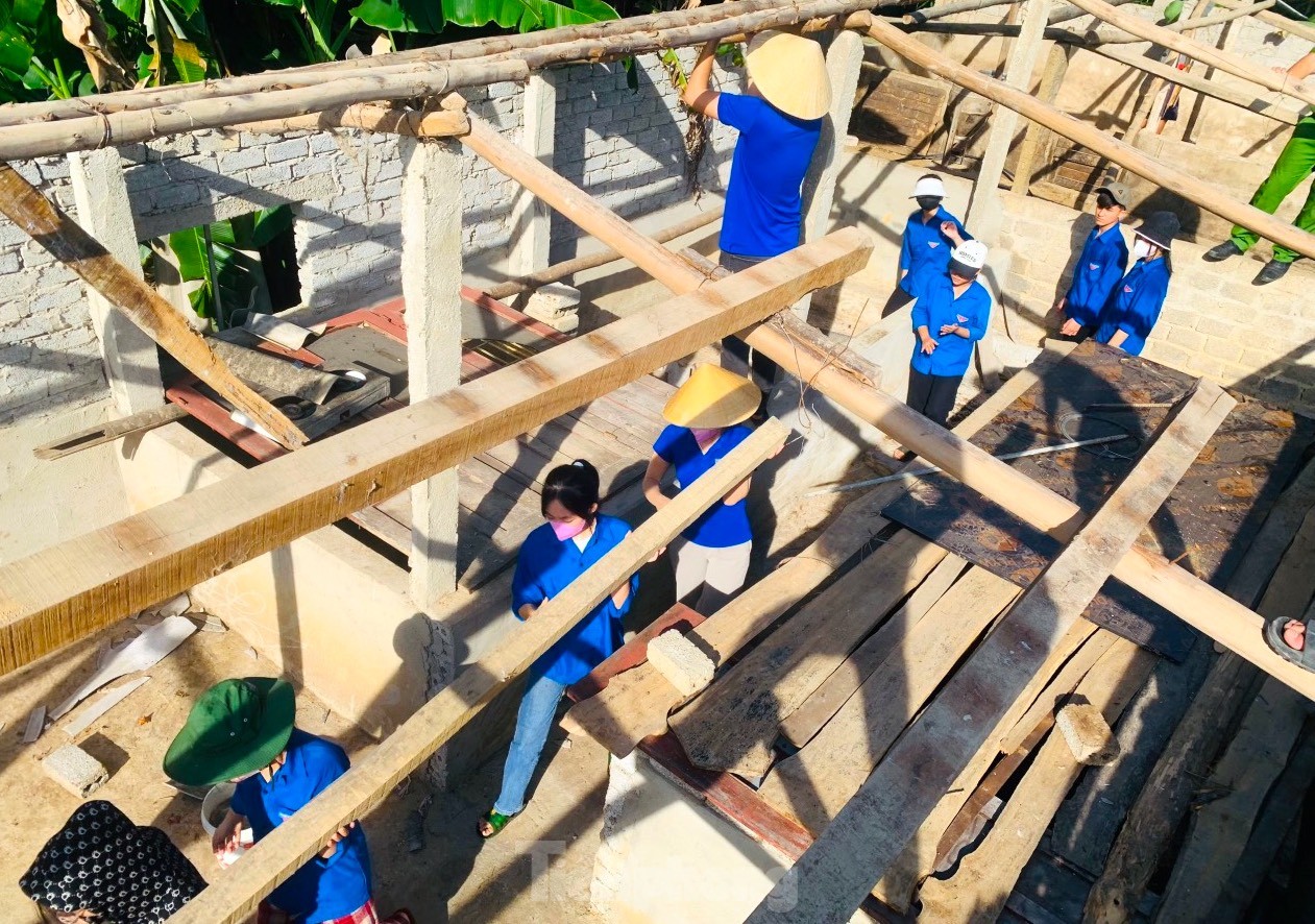 Beautiful images of green shirt volunteers contributing to the 500kV line project circuit 3 photo 4
