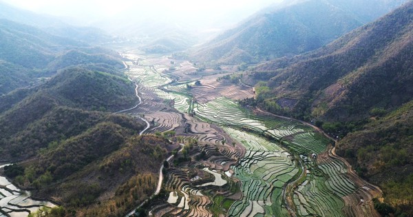 Green terraced fields on the Muong Lat Heaven Gate