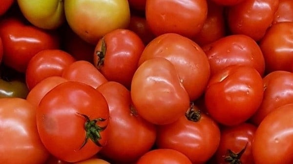 9 alimentos y frutas bajos en grasas que te ayudan a sentirte saciado por más tiempo y a perder peso por la noche