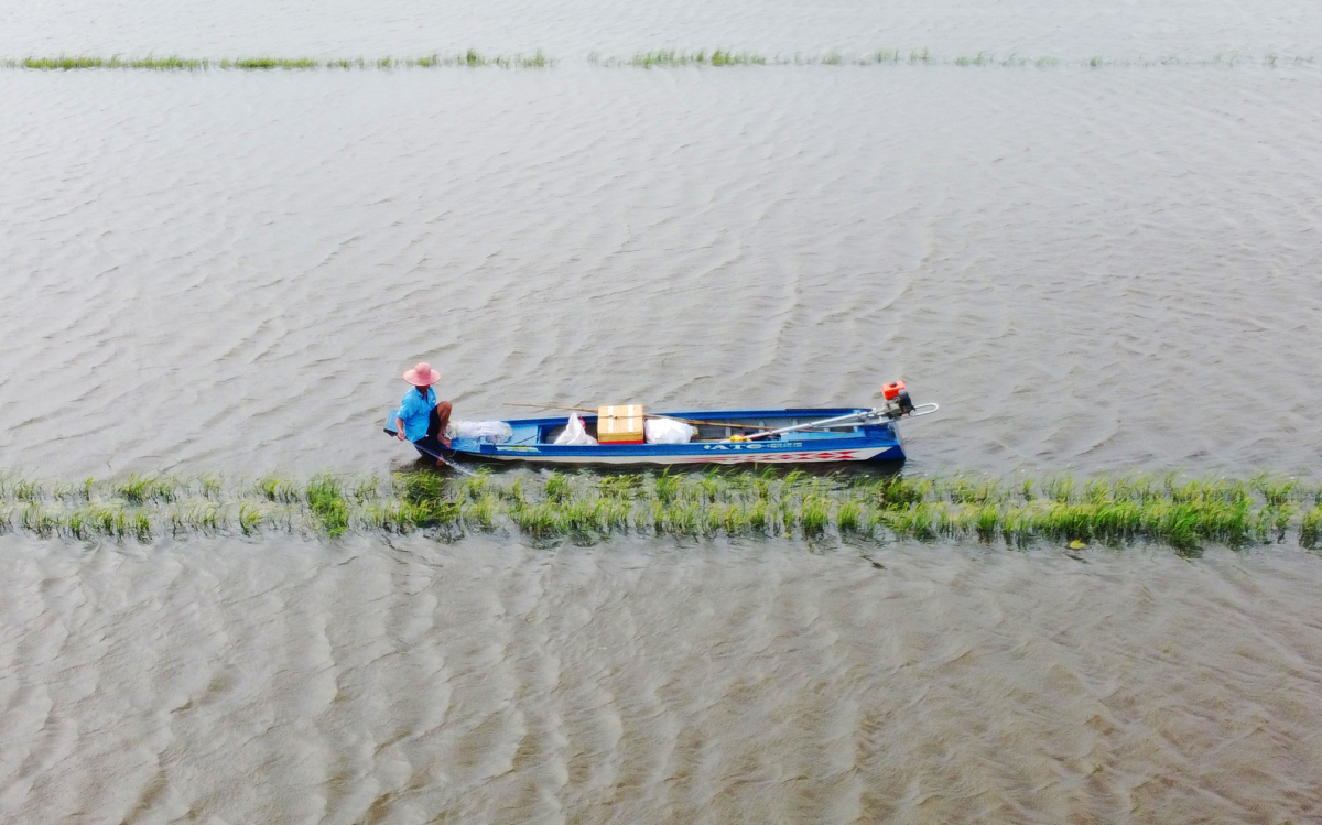 The West welcomes low floods