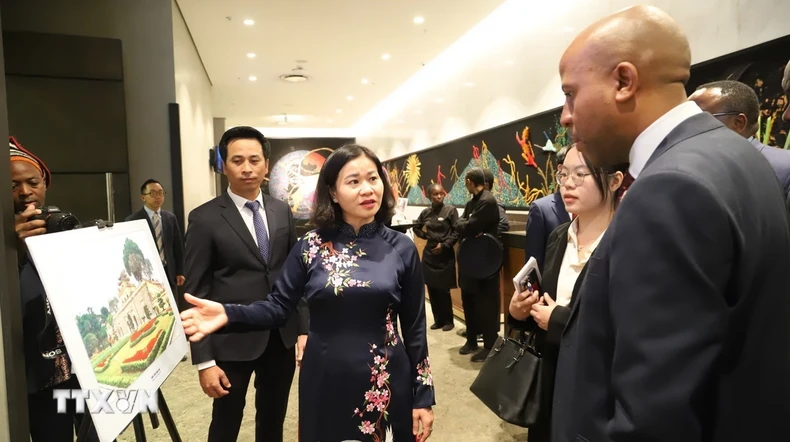 Creando un avance y llevando la cooperación entre Vietnam y Sudáfrica a nuevas alturas. Foto 2